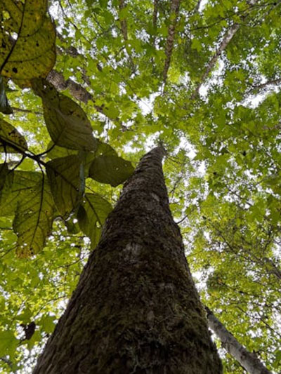 omgeving van psycholoog praktijk Amsterdam